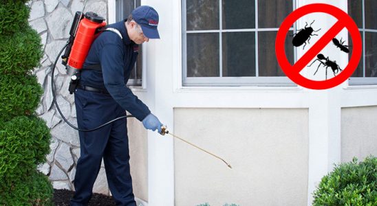 Gaziosmanpaşa Karınca İlaçlama böcek ilaçlama ve haşere kontrolü — ilaclama-tr.com